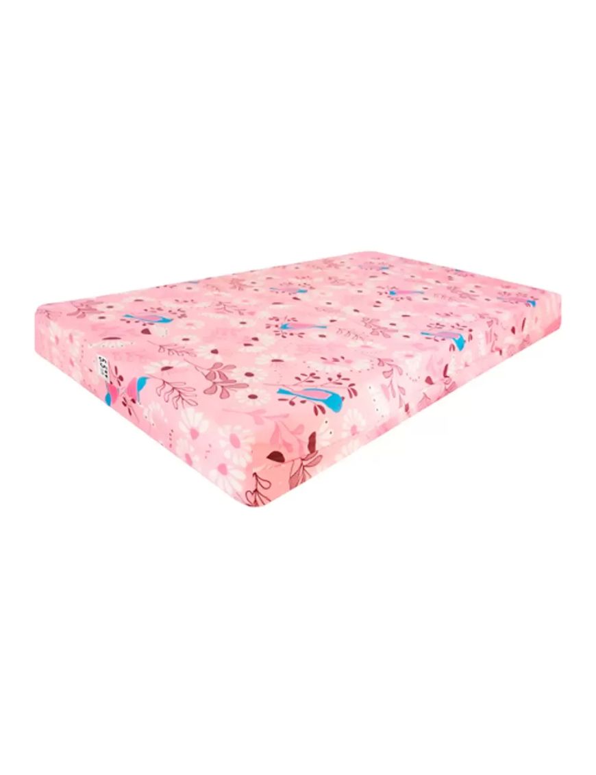Colchón Titan Espuma 2 Plazas 5.5" | Confort y Firmeza